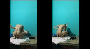 Dập nát bướm nhân tình cũ